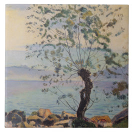 Árvore selvagem pelo lago (paisagem suíça)