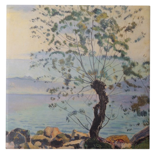 Árvore selvagem pelo lago (paisagem suíça) (Frente)