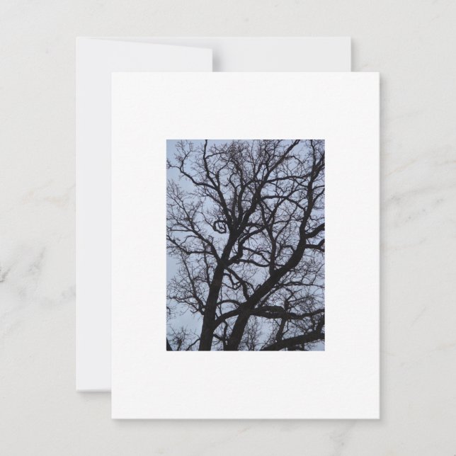 Árvore Vampiro (Frente)