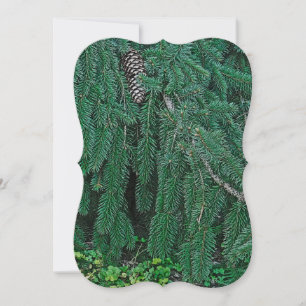 Árvore Verde Com. Pine Cone