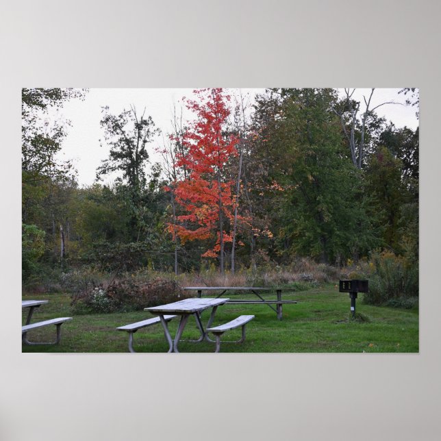 Árvore Vermelha com Poster dos bancos (Frente)