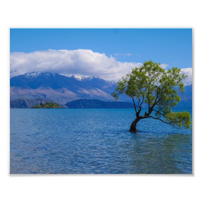 Árvore Wanaka, Lago Wanaka, NZ - Impressão de Foto (Frente)