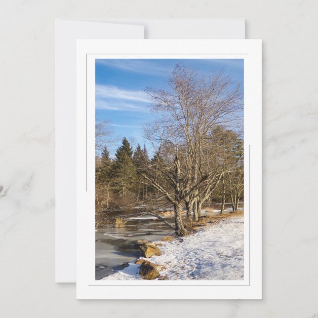 Árvores ao lago - Cartão de férias plano 5x7 (Frente)