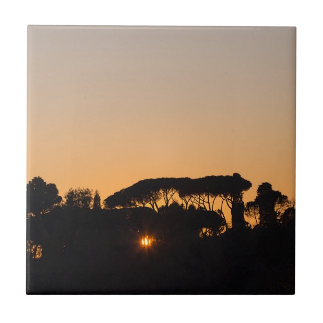 Árvores ao pôr do sol sob a luz de trás em Roma (Frente)