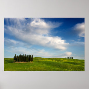 Árvores ciprestes na Toscana poster