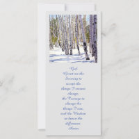 Árvores de Aspen na Floresta