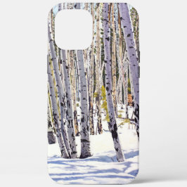 Árvores de Aspen na Floresta