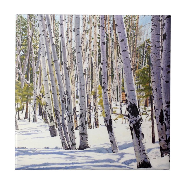 Árvores de Aspen na Floresta (Frente)