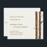 Árvores de Bétula Salve o Anúncio da Data - Amêndo<br><div class="desc">Lindas bétulas se unem para criar um convite de casamento moderno e artístico,  inspirado na natureza,  que seus amigos e familiares certamente adorarão. As iniciais do casal gravadas na árvore tornam este design absolutamente especial e único.</div>