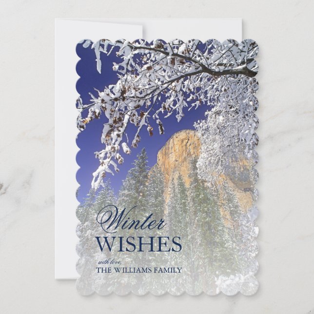 Árvores de carvalho-preto na neve em Yosemite (Frente)