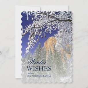 Árvores de carvalho-preto na neve em Yosemite