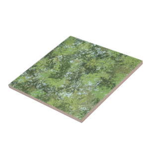 Árvores de Folhas Verdes com Céu Azul Aparecendo A