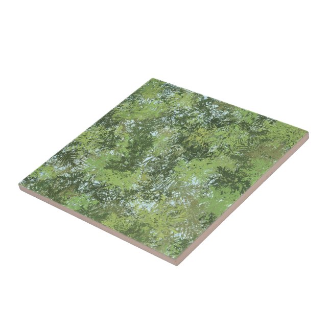 Árvores de Folhas Verdes com Céu Azul Aparecendo A (Lateral)