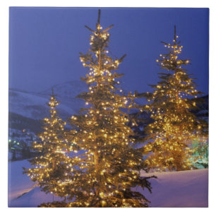 Árvores de Natal, Park City, montanhas de Wastch,