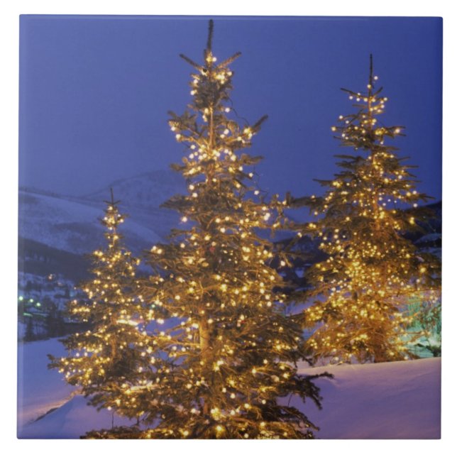 árvores de Natal, Park City, Montanhas Wastch, 2 (Frente)