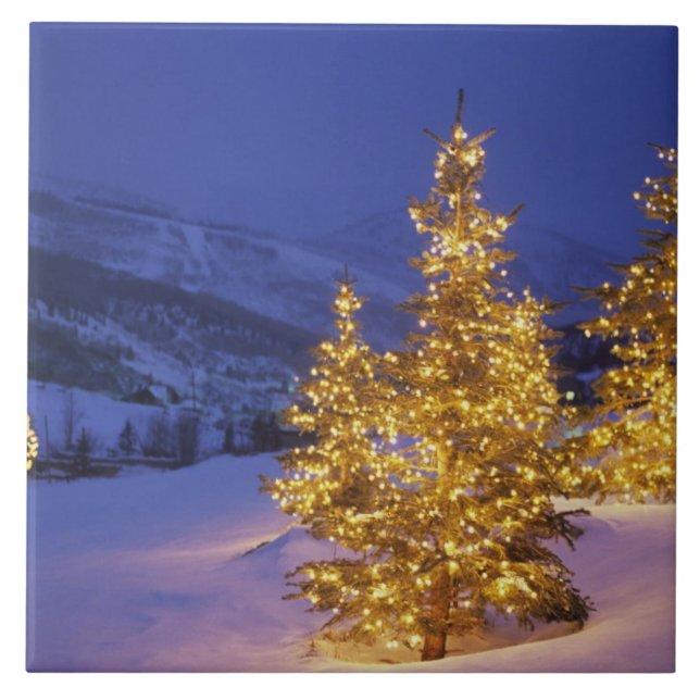 árvores de Natal, Park City, Wastch Mountains, (Frente)