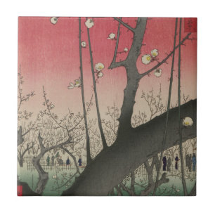 Árvores de solário japonesas