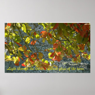 Árvores de Vidro Estendidas - Poster com Cotação