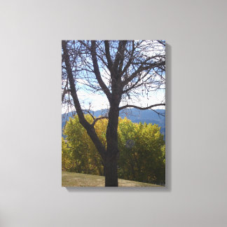 Árvores do outono - Arte da canvas