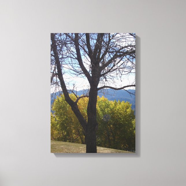 Árvores do outono - Arte da canvas (Frente)