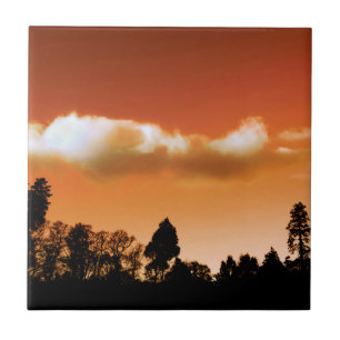 Árvores do por do sol