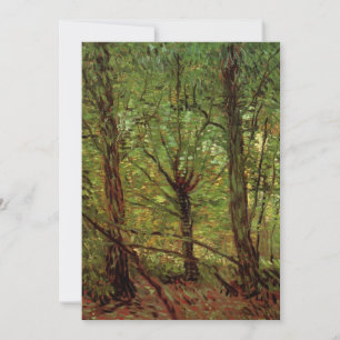 Árvores e Sub-bosque por Vincent van Gogh