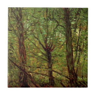 Árvores e Sub-bosque por Vincent van Gogh