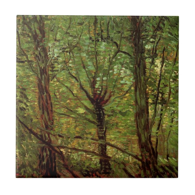 Árvores e Sub-bosque por Vincent van Gogh (Frente)