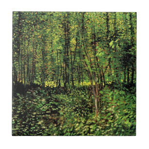 Árvores e Sub-bosque por Vincent van Gogh