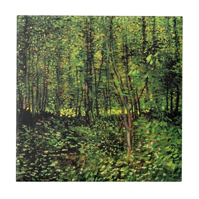 Árvores e Sub-bosque por Vincent van Gogh (Frente)