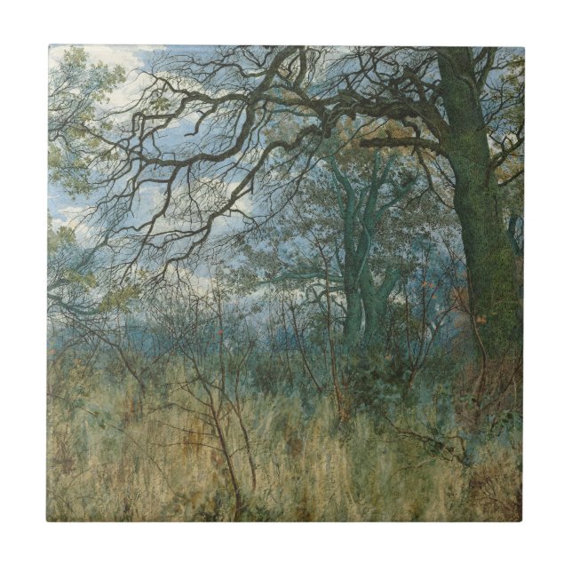 Árvores e Sub-crescimento - William Fraser Garden (Frente)