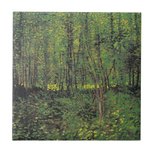 Árvores e Subcrescimento por Van Gogh