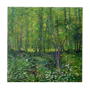 Árvores e Undergrowth de Vincent van Gogh