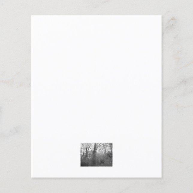 Árvores em Mist. Preto e Branco. (Frente)