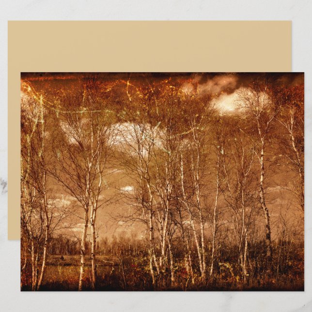 Árvores Florestais Vintage Grunge Texturas Russas (Frente/Verso)