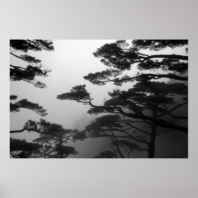 Árvores Místicas - Impressão (Frente)