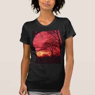 Árvores na camisa do por do sol