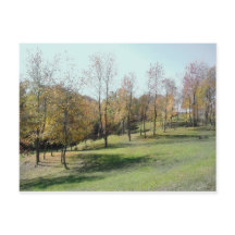 Árvores na Encosta 2004 Cartão Postal Foto