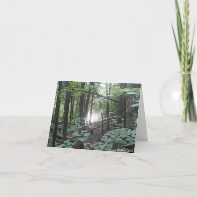 Árvores na Floresta - cartão de saudação da nature (Frente)