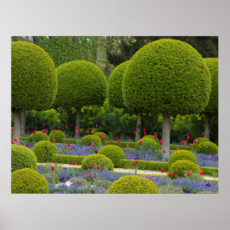 Árvores redondas Poster