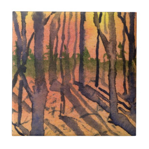 Árvores solares de inverno com Azulejo de sombra