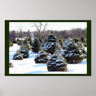 Árvores verdes com Poster de neve