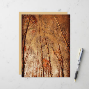 Árvores Vintage Floresta Laranja Marrom
