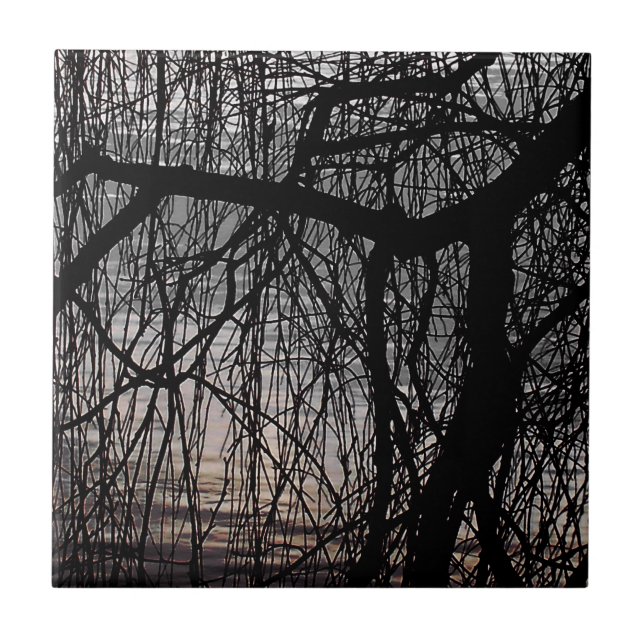 ÁRVORES WILLOW (Frente)