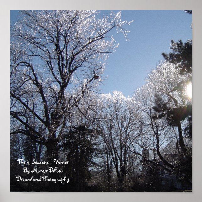 As 4 estações - Poster de inverno (Frente)