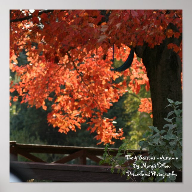 As 4 estações - Poster do outono (Frente)