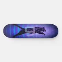 As 9 Vidas Do Skateboard Gato
