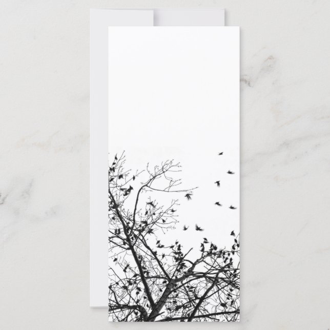 as aves negras (Frente)