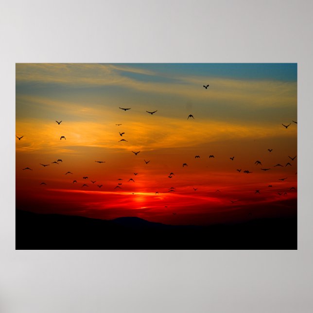 As aves voam para o Sol, Poster Extra Grande (Frente)