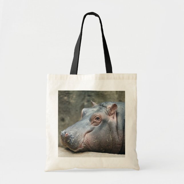 As bolsas do Hippopotamus - escolha o estilo (Frente)